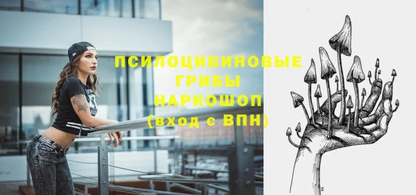 не бодяженный Кукмор