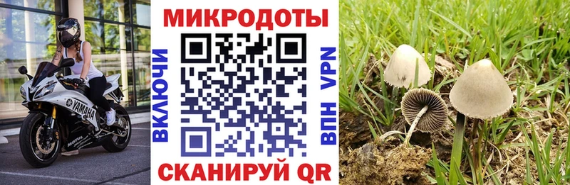 Псилоцибиновые грибы Magic Shrooms  Купить закладки  Любим 